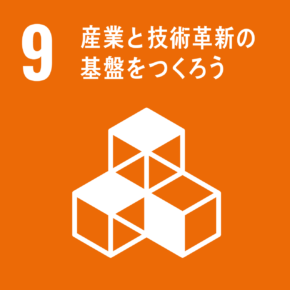 目標 9:産業と技術革新の基盤をつくろう