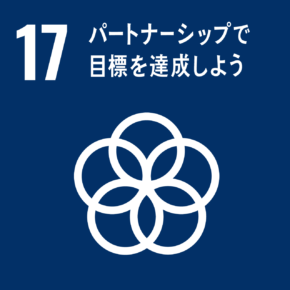 目標 17:パートナーシップで目標を達成しよう